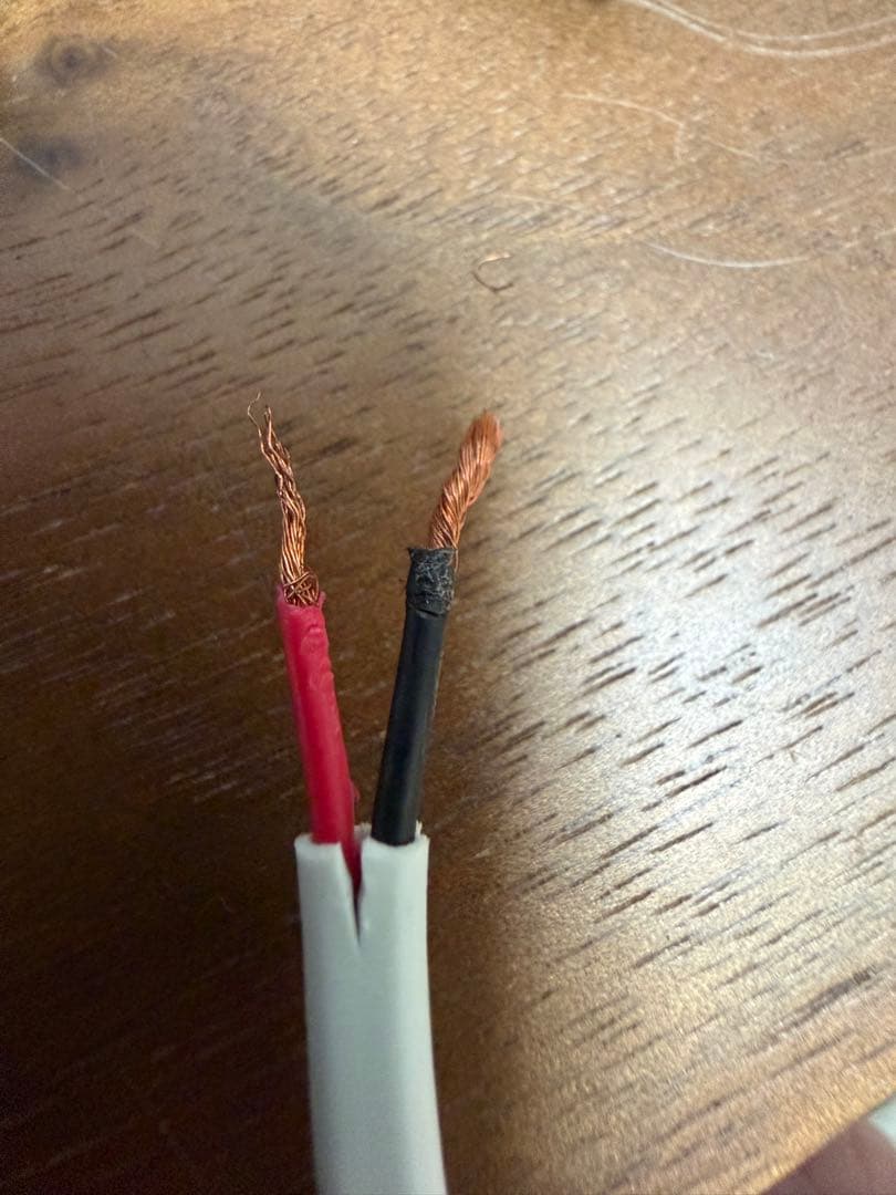 Bose Virtually Invisible 300 ワイヤレススピーカー