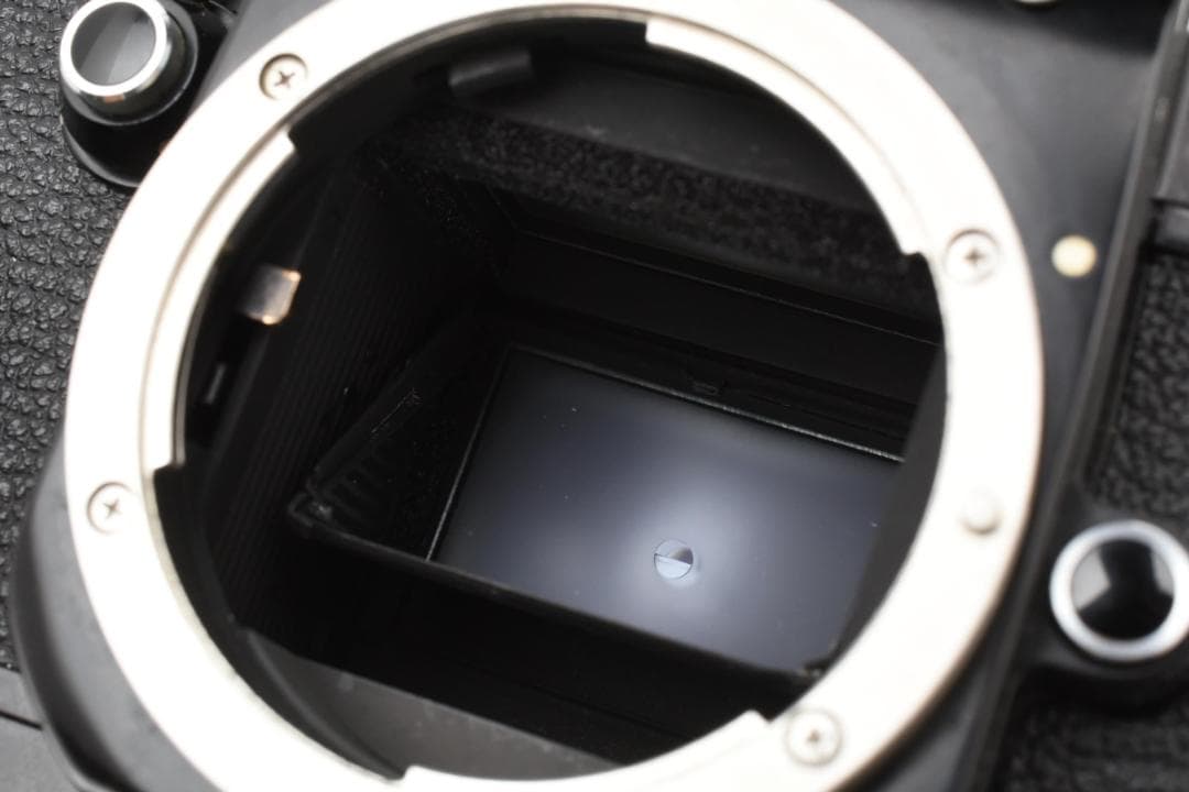 RITAO CHAN公式アカウント05専用　ニコン　Nikon F2 DP-1