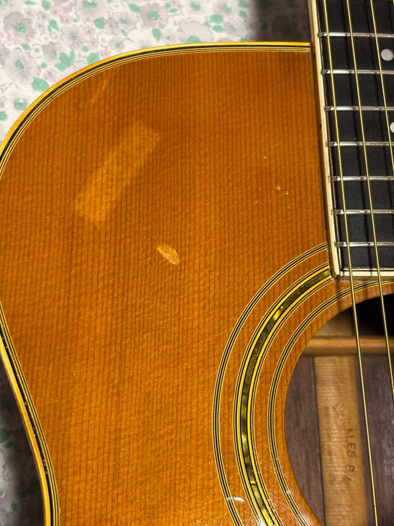 専用❗️Morales モラレス　1ランク上　ジャパンヴィンテージアコギ 調整済