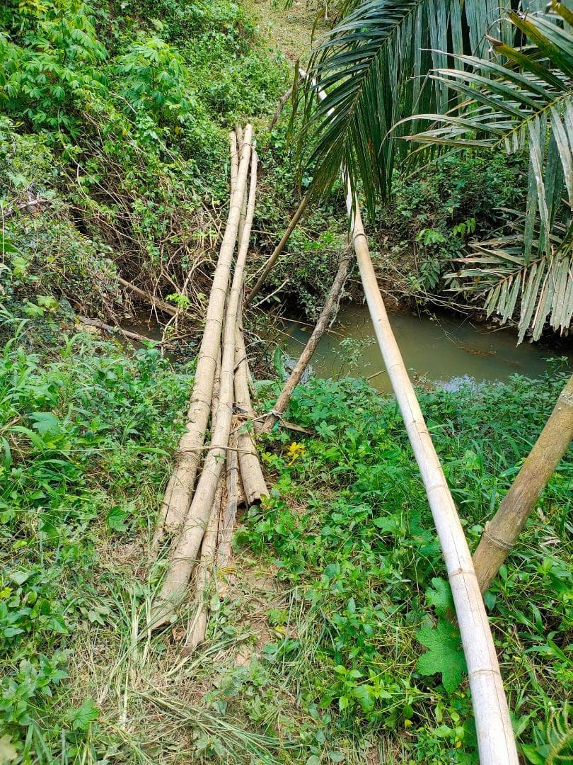 願いを叶える宝珠♉ドラゴンボール♎神聖物⭐天の扉を開く❄レクライ♌プラクルアン✨
