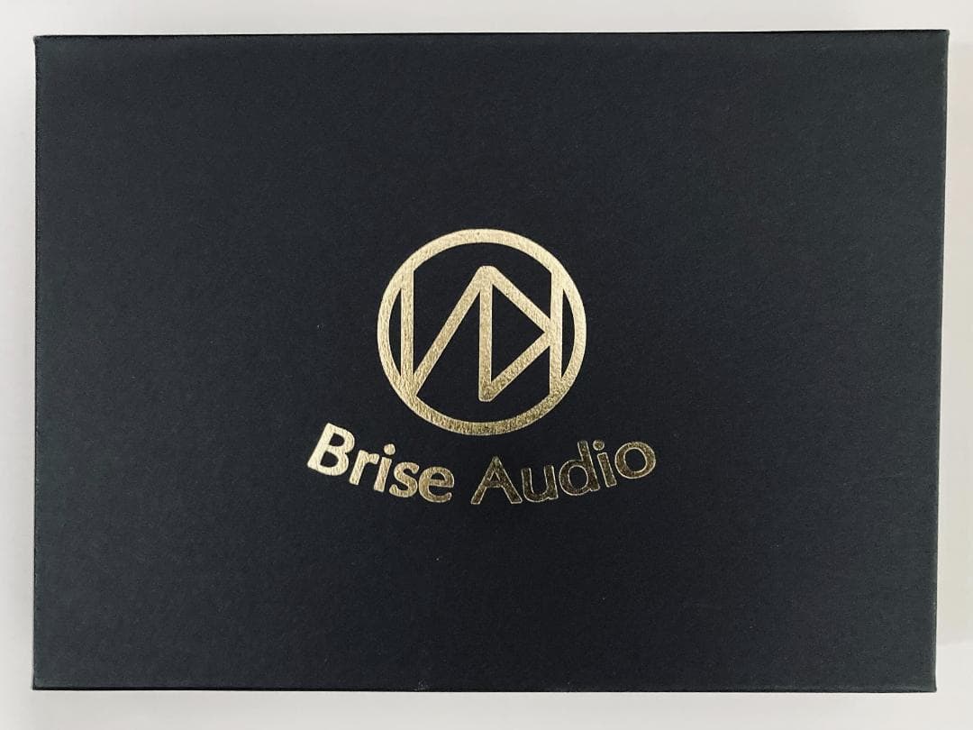 イヤホン Brise Audio BSEP for IE900