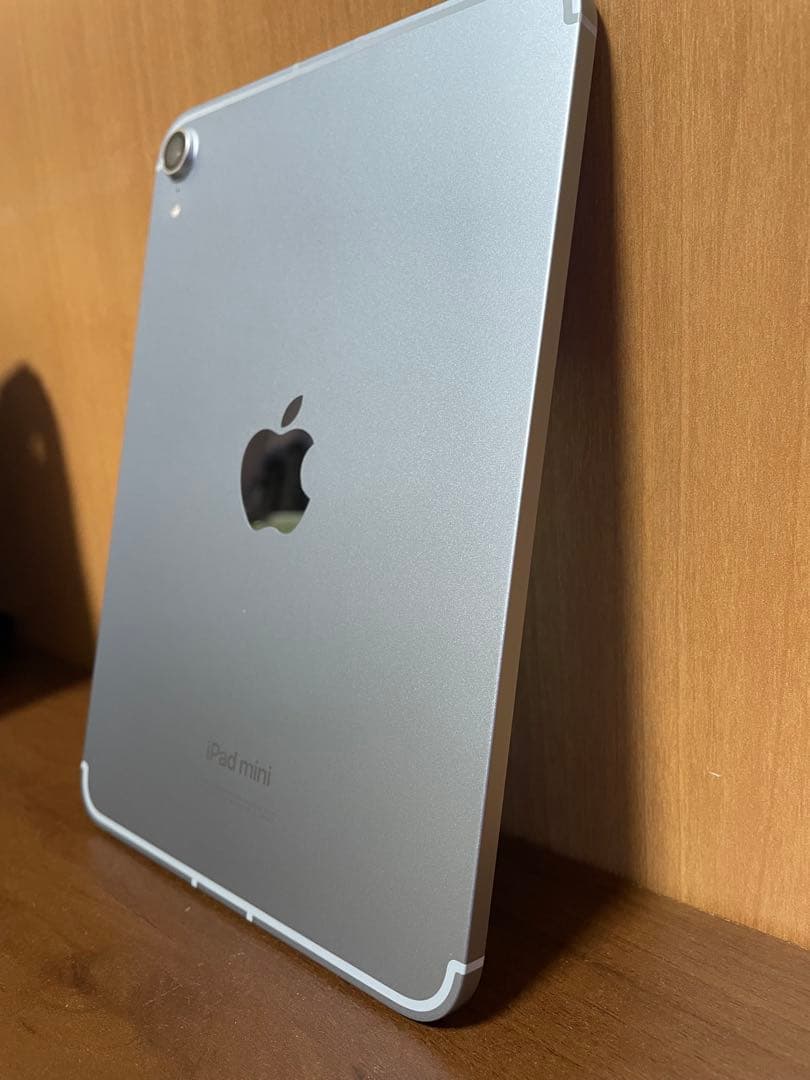 極美品iPad mini (第7世代) 256 Wi-Fi + Cellular