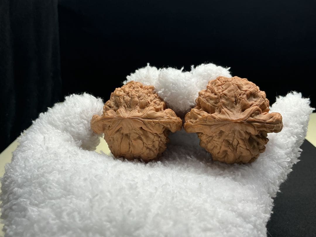 文玩堂：「龍鼎獅子頭 卒業級」51mm 最終価格