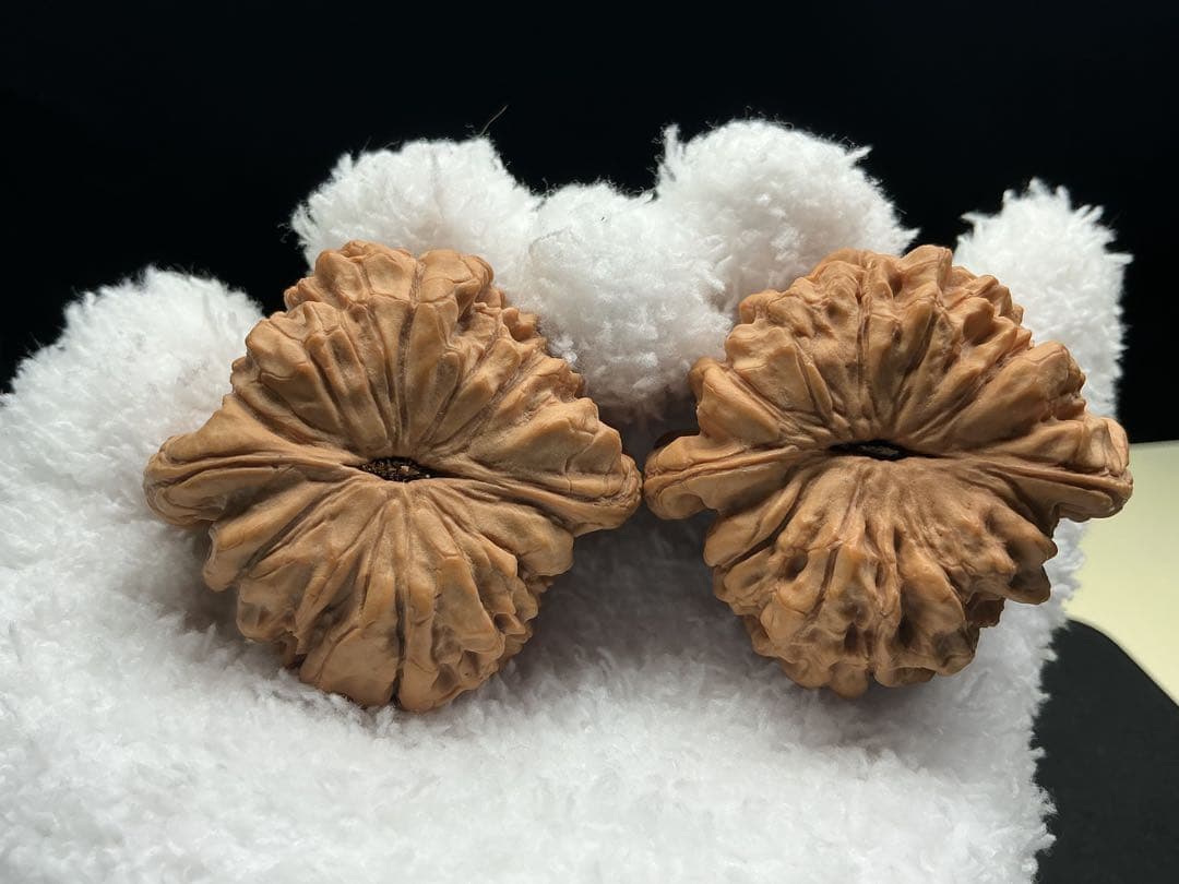 文玩堂：「龍鼎獅子頭 卒業級」51mm 最終価格