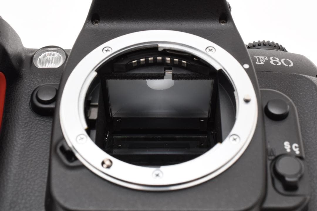 超美品 NIKON ニコン F80 加水分解等なし M531