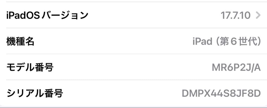 コ*ロ様 iPad第6世代 Wi-Fi+Cellularモデル 32GB MR6