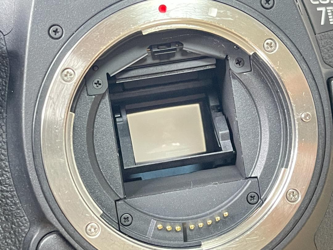 ★美品級★ キャノン Canon EOS 7D Mark II