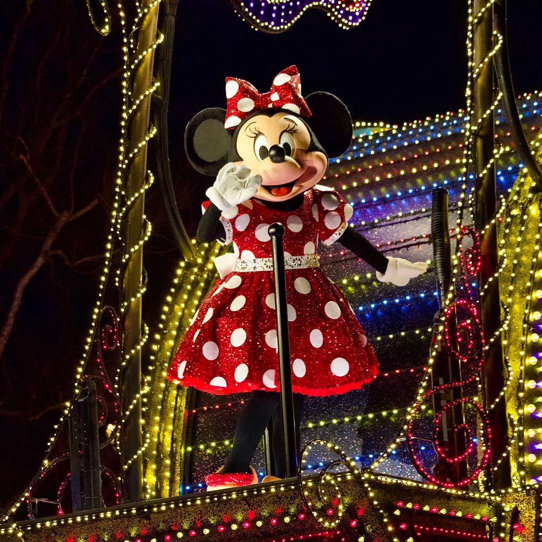 【作例あり】Canon EF-S55-250mm F4-5.6 IS STM