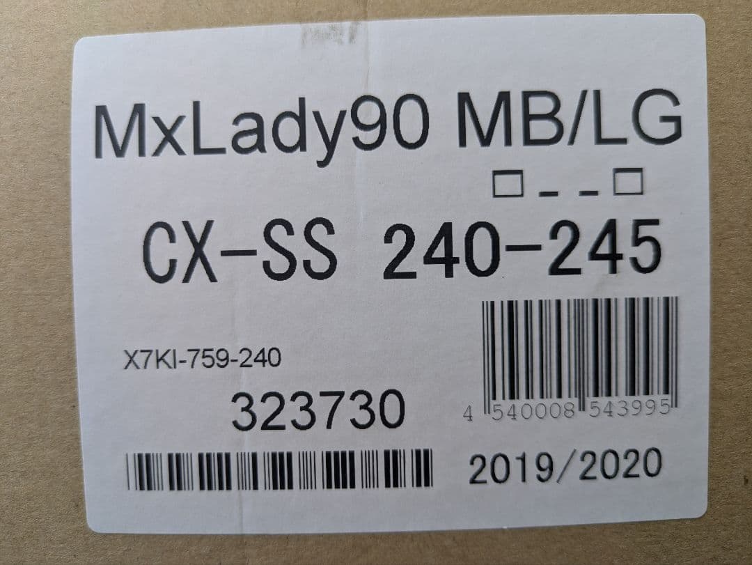 REXXAM スキー用ブーツ ライトブルー