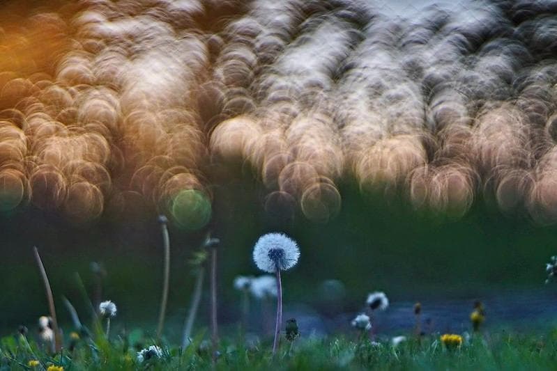 バブルボケレンズDiaplan (Pentacon) 150mm f2.8M42