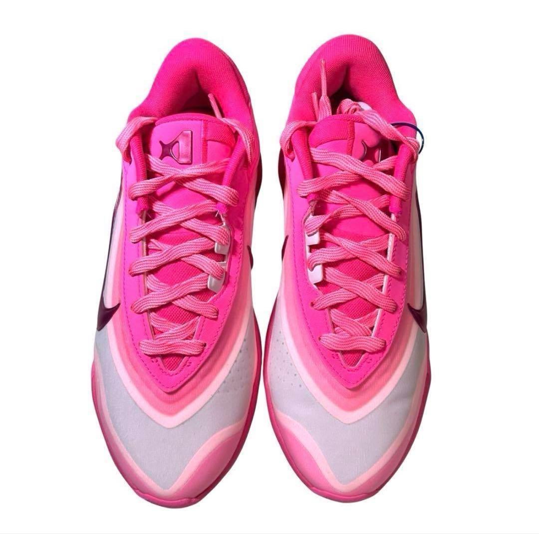 NIKE レブロン20 Aja Wilson PE 25cm バスケットシューズ