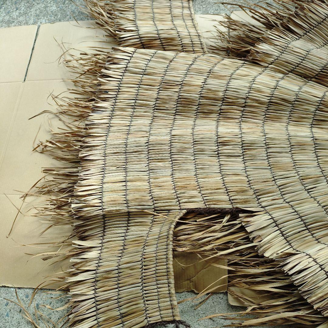 みのあみかっぱ