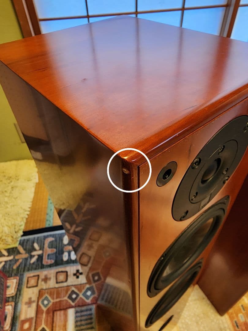 Dali  Tower タワースピーカー