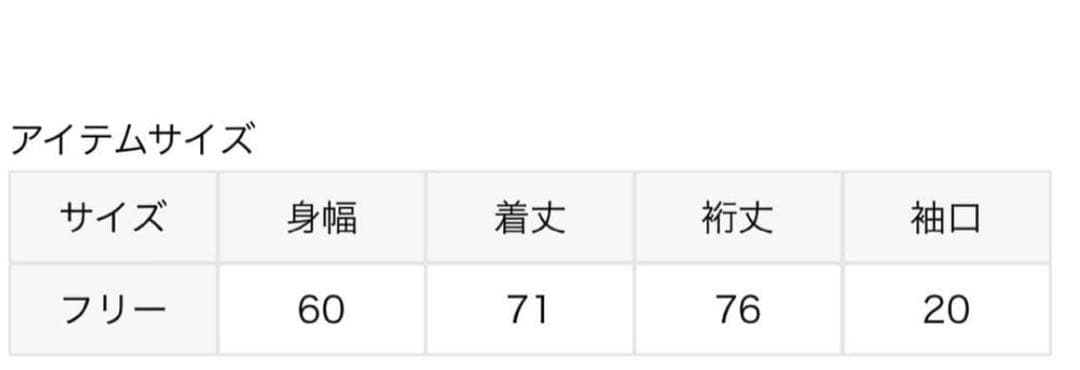 25SS ドゥーズィエムクラス　トリアセジョーゼット Vネック プルオーバー