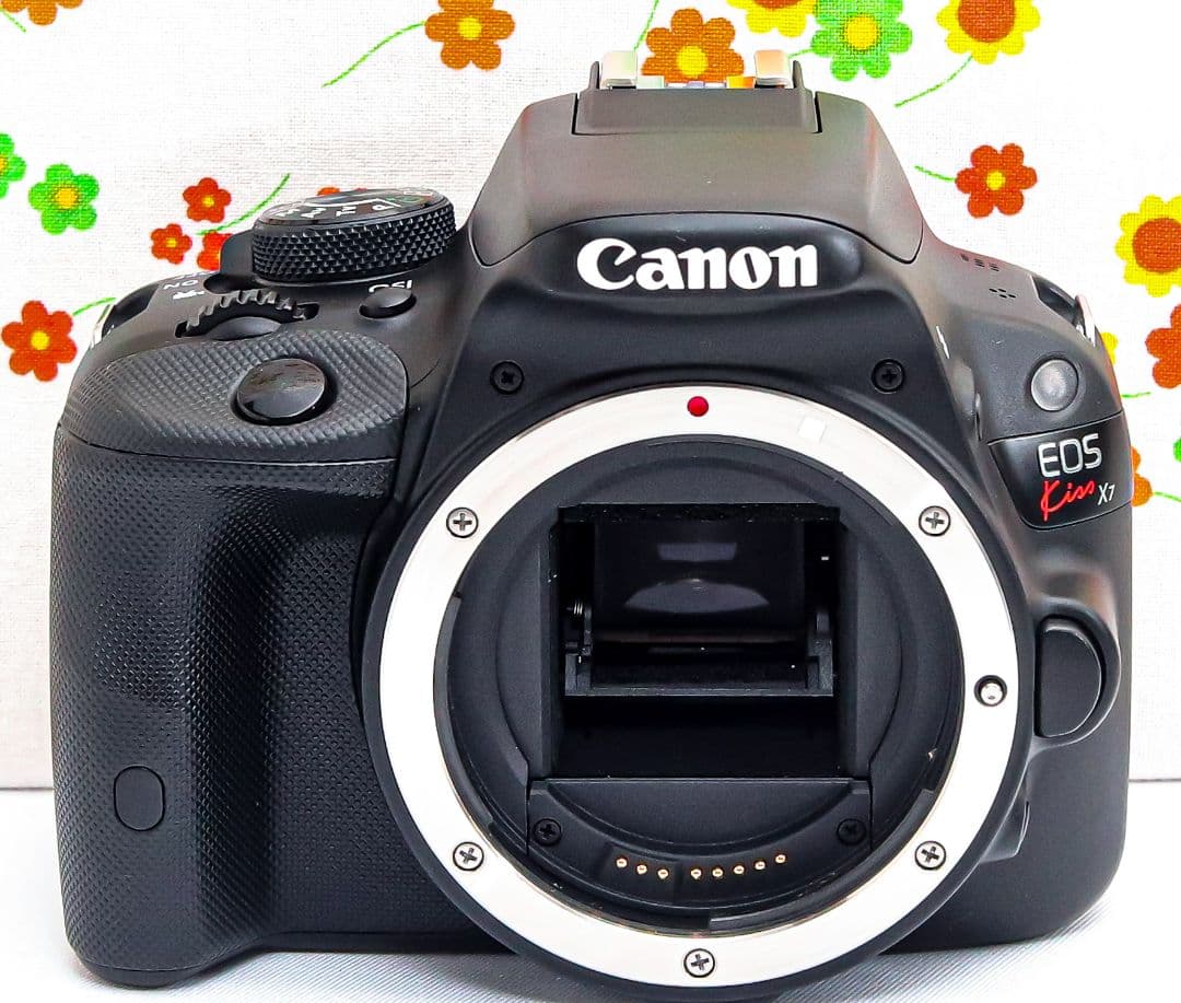美品 Canon EOS Kiss X7☆スマホ転送☆超小型☆間違いない一眼レフ
