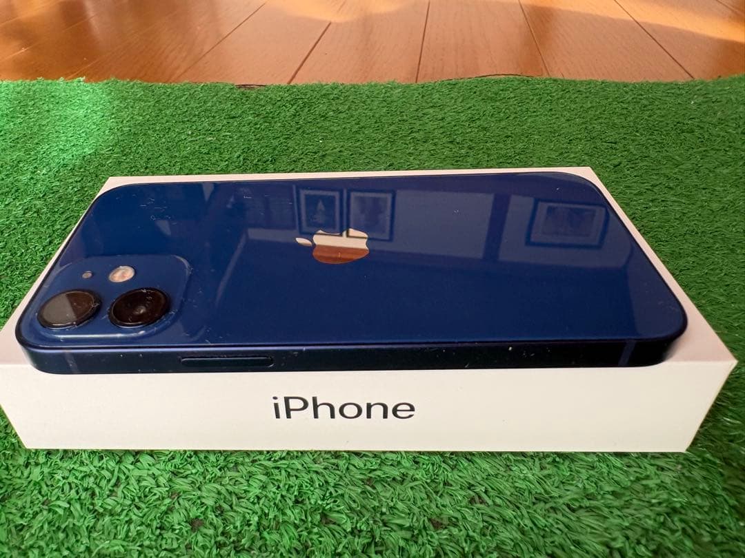 Apple iPhone 12 青色 本体 充電ケーブル付き