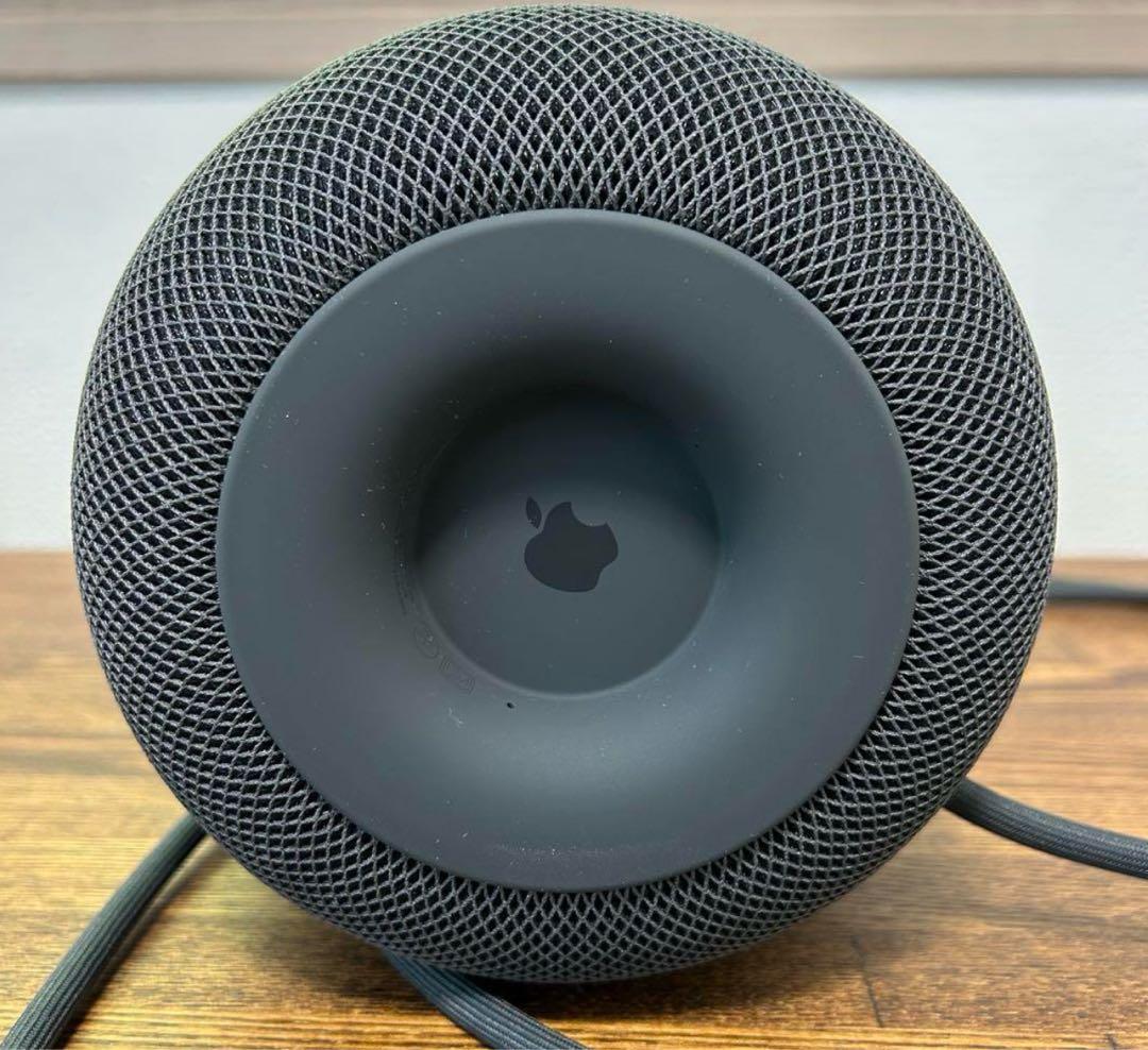 Apple Pod 第1世 MQHW2J/A