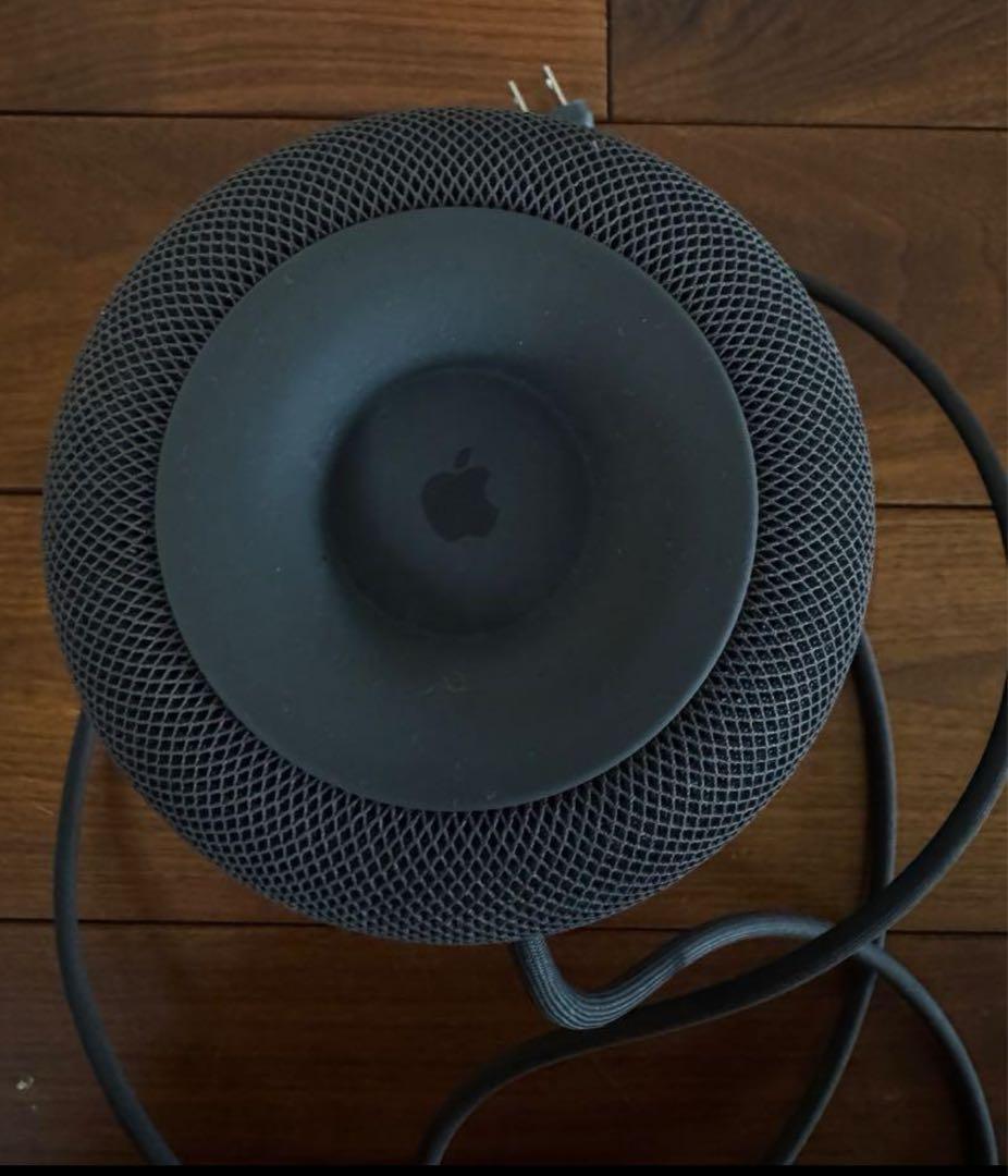 Apple Pod 第1世 MQHW2J/A