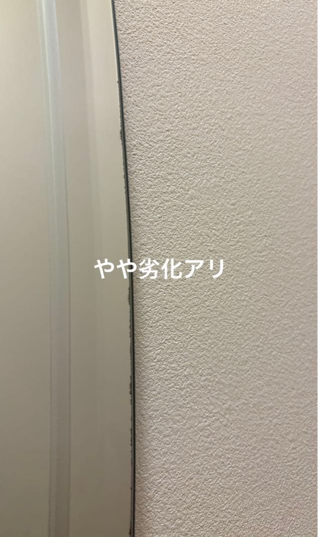 のんちゃん　ARTE MIRROR 全身鏡　ミラー