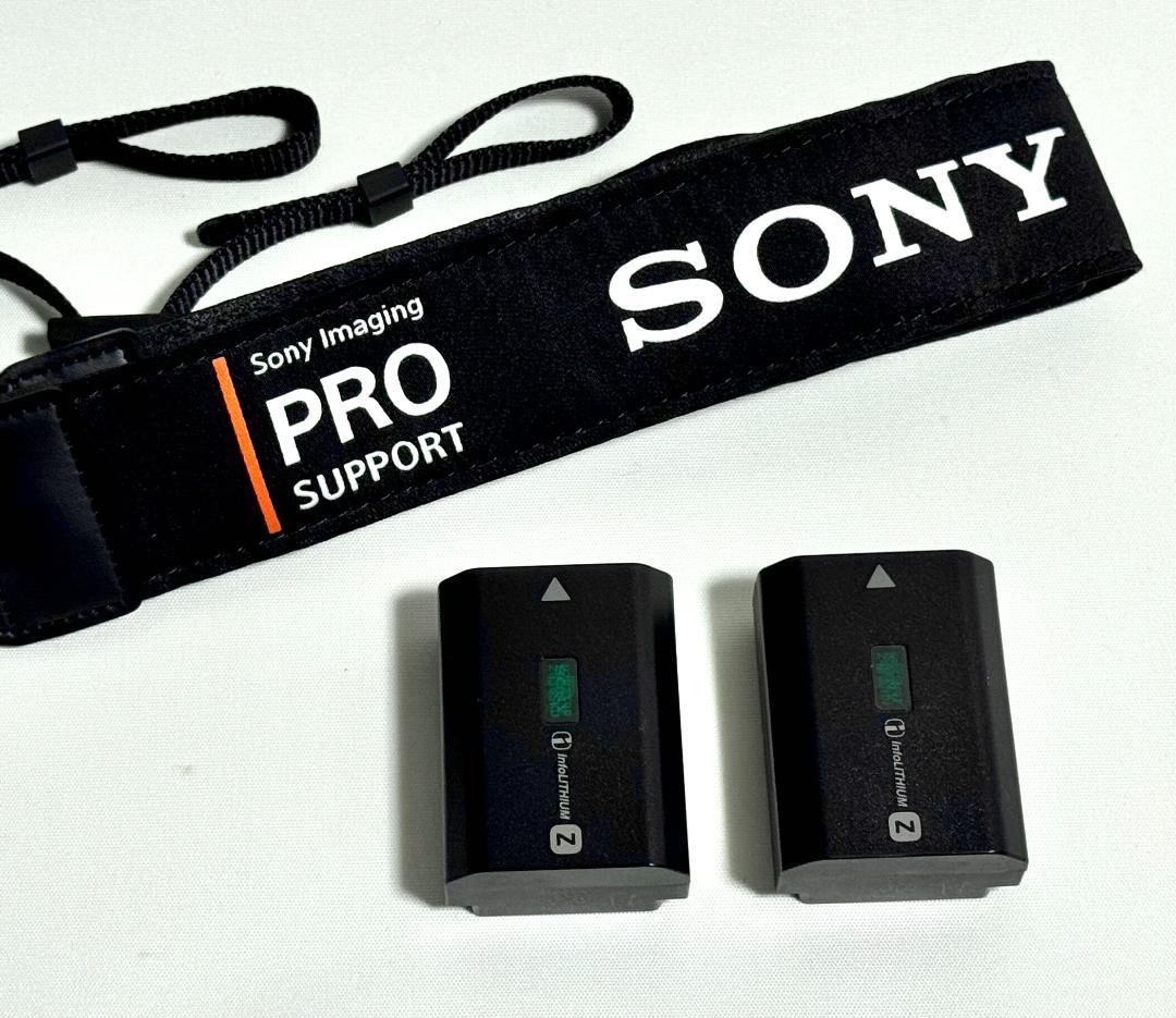 【美品】SONY FX30（ILE-FX30B）本体