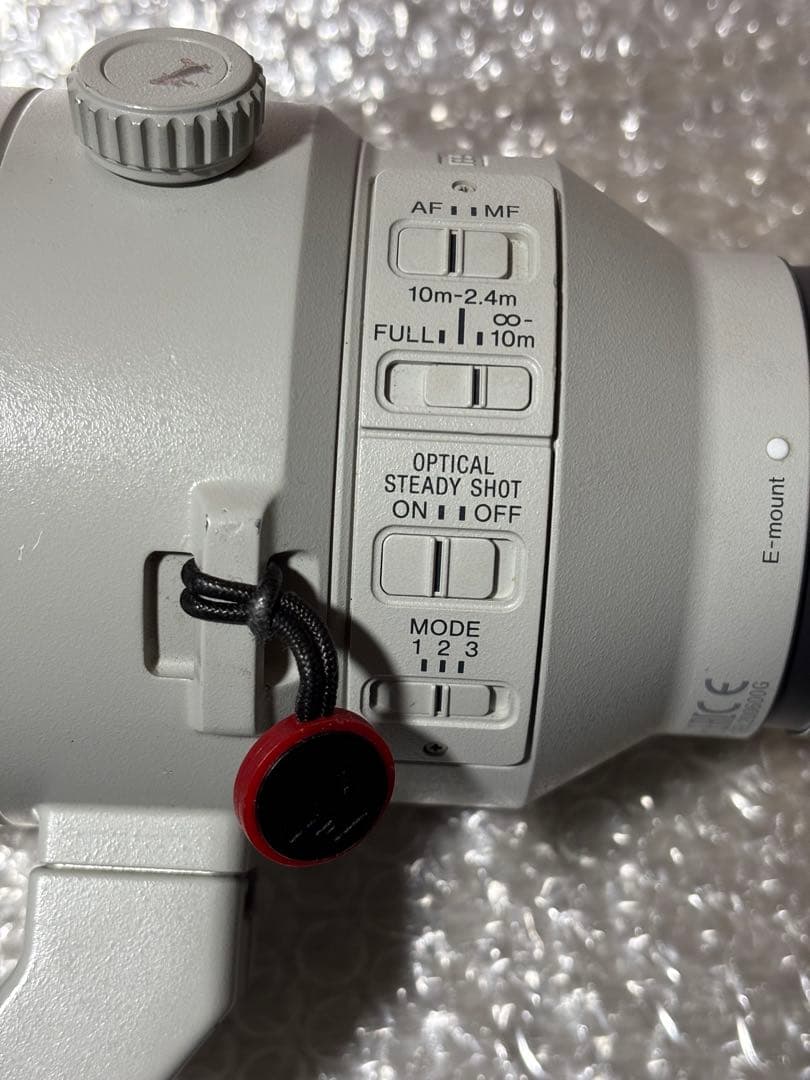 ソニー　SONY FE 200-600mm F5.6-6.3 G OSS