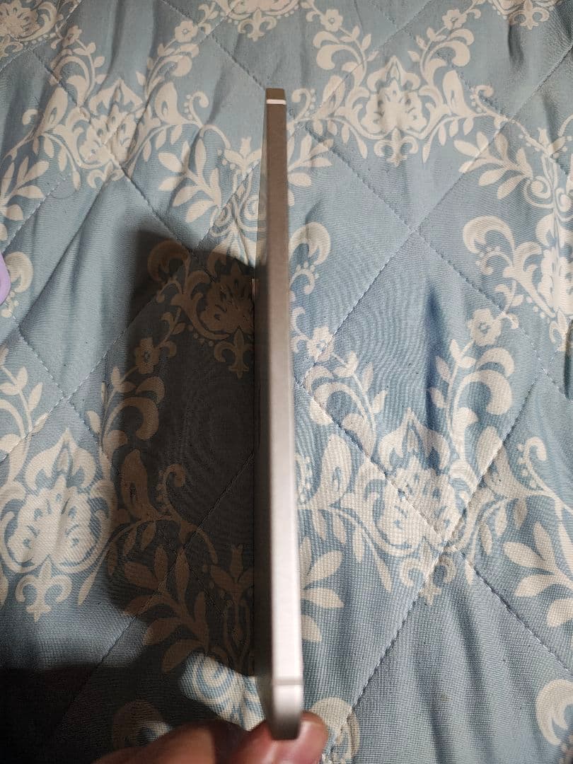 iPad mini 第6世代 256GB セルラー