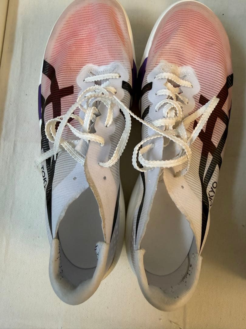 ASICS SPEED RAY 26.0cm 走行37km