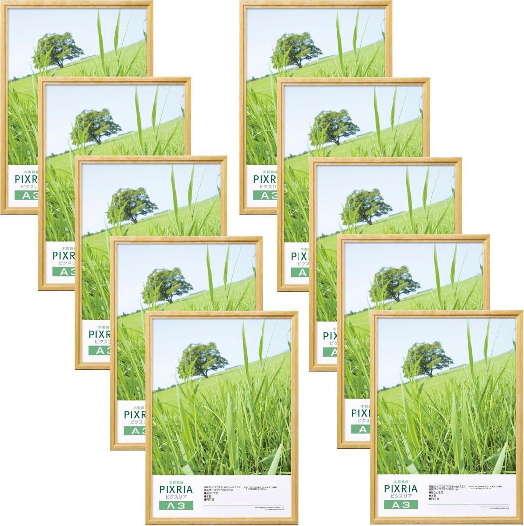 ハクバ HAKUBA 木製額縁 ピクスリア A3サイズ 10枚セット