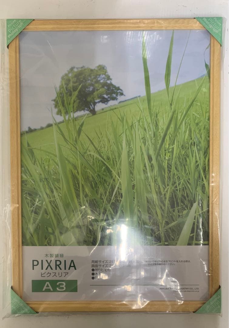 ハクバ HAKUBA 木製額縁 ピクスリア A3サイズ 10枚セット