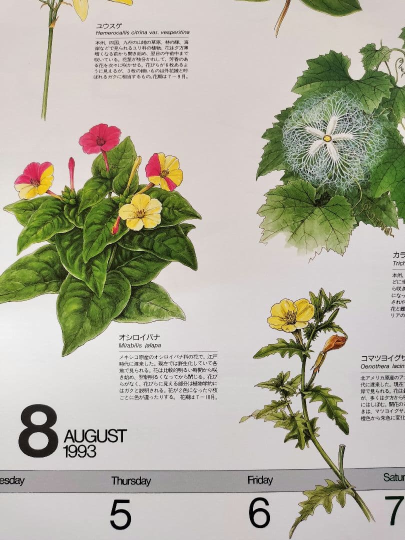 BE-PAL ビーパル カレンダー 新品未使用 1993年 ヴィンテージ