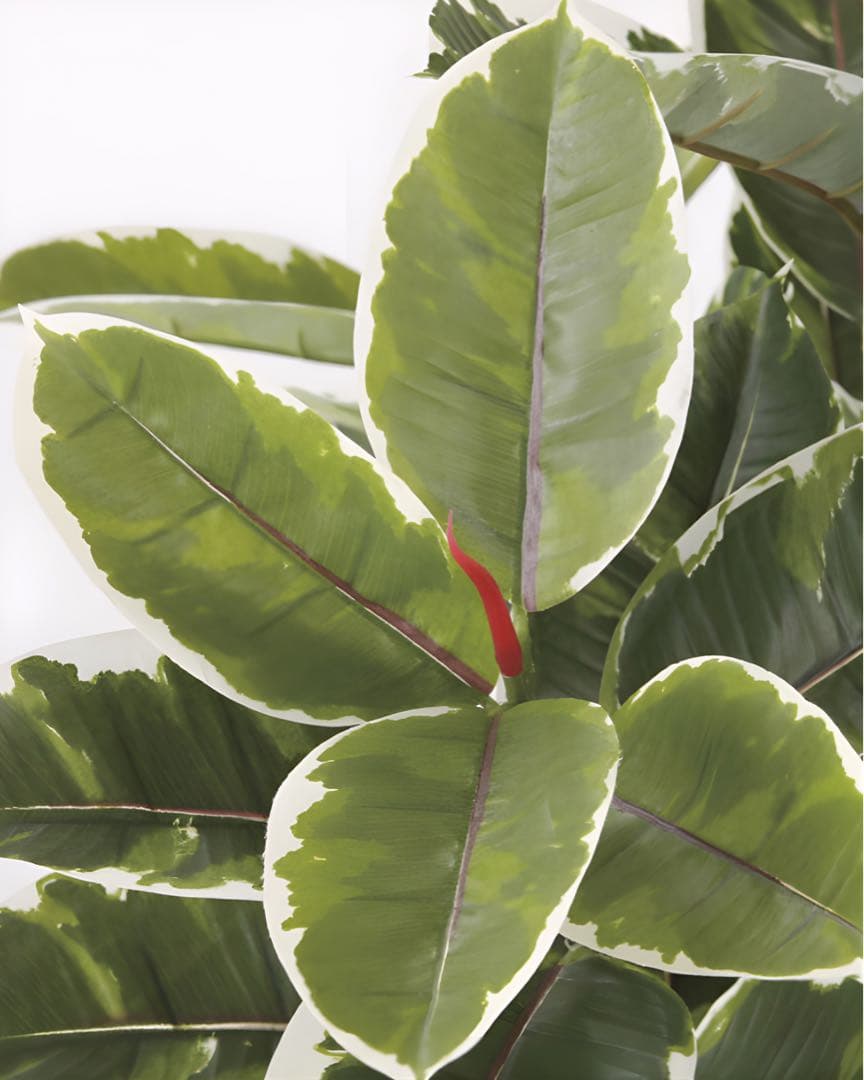 光触媒　人工観葉植物　ウォールグリーン　フェイクグリーン　アルテシマＤＸ　1.6