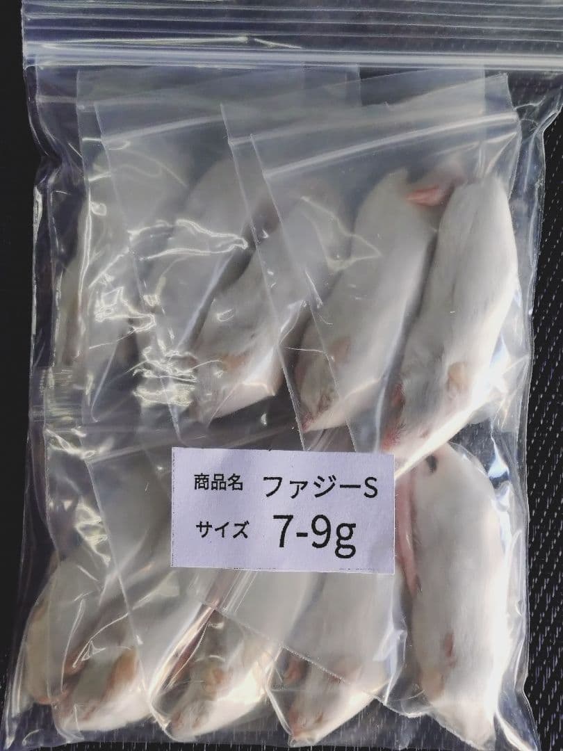 賈琦様冷凍ファジー10匹ファジーS 30匹アダルトM 10匹フタホシ200グラム