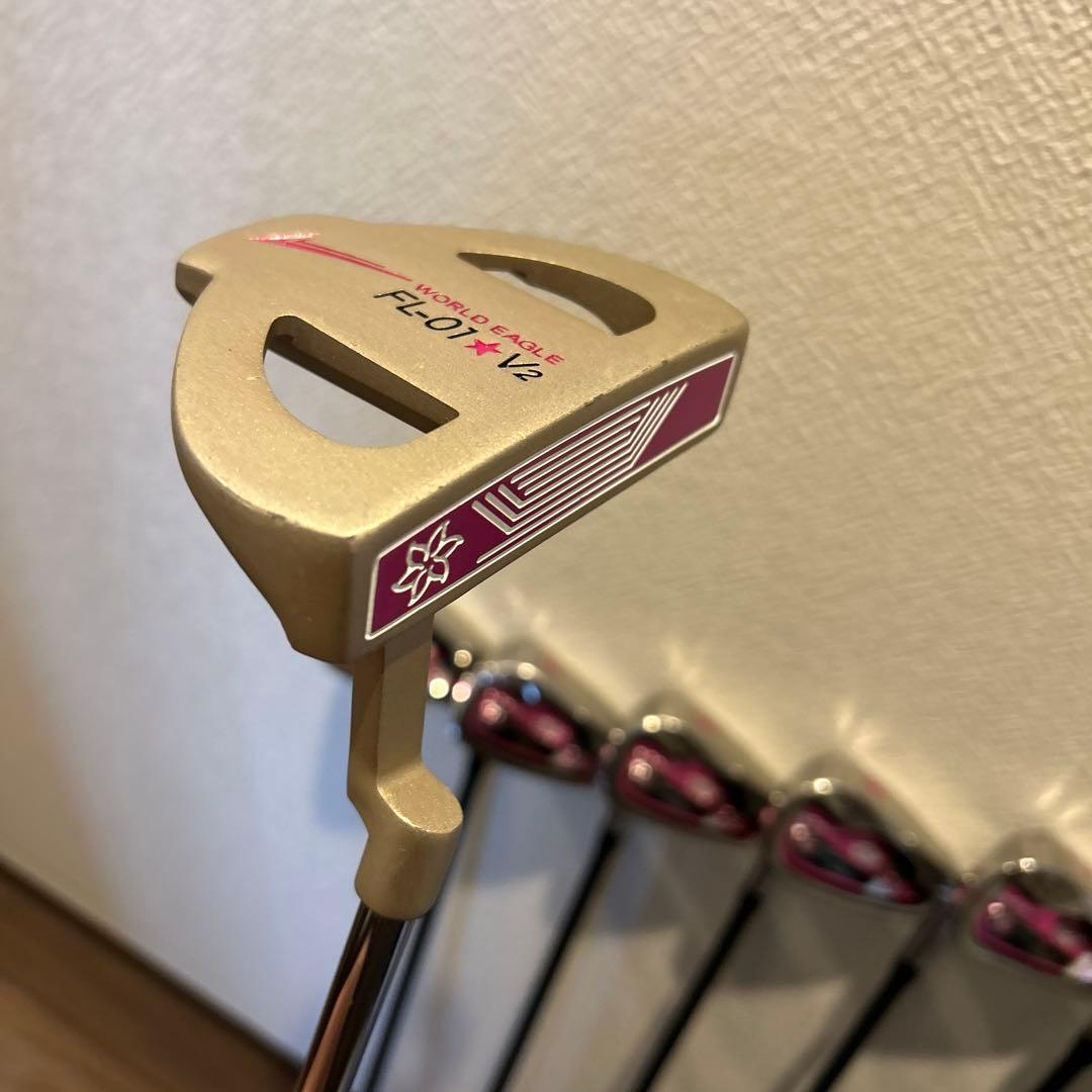 ワールドイーグルFL-01v2 レディースL 10本　右利き　ゴルフセット