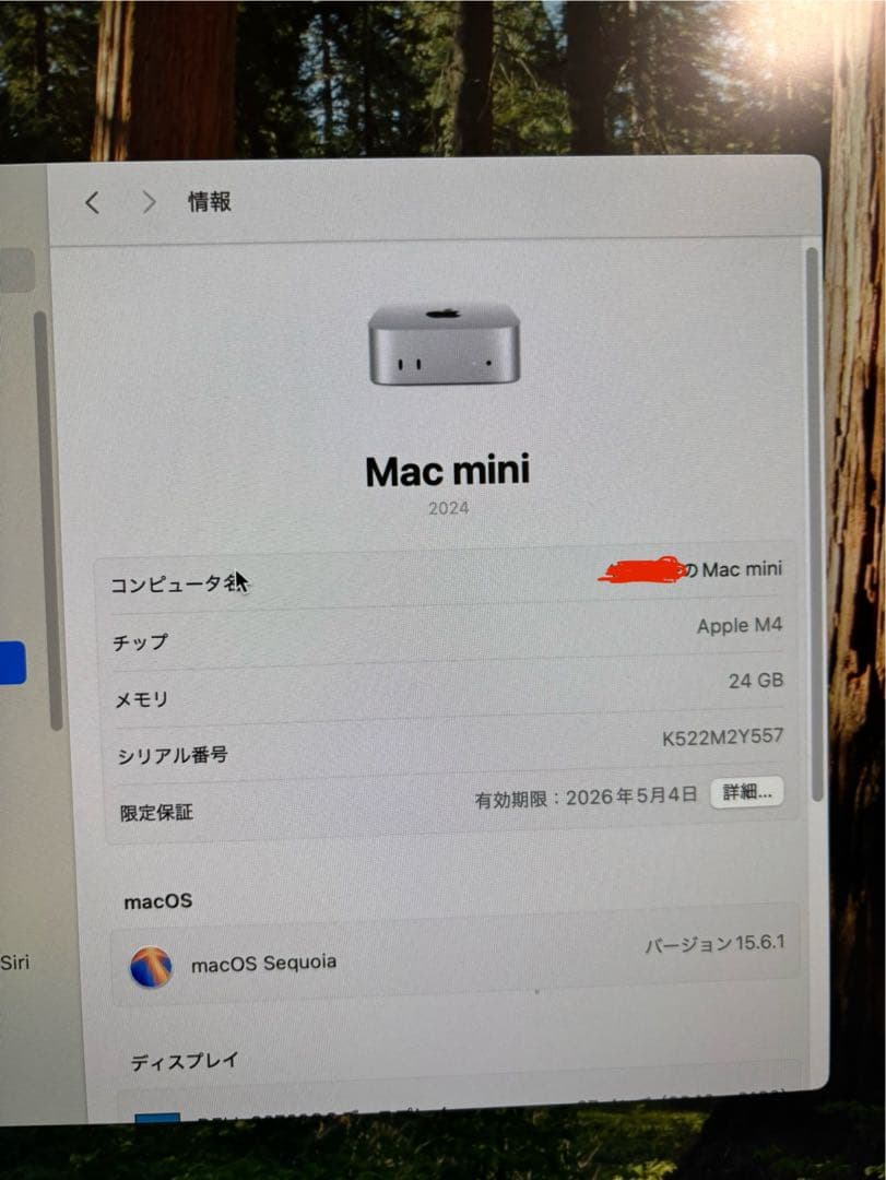 Apple Mac mini m4 24GB 256GBシルバー