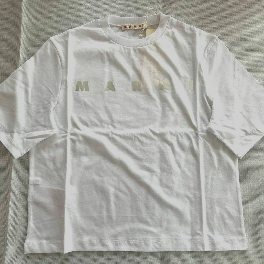 【新品】大人もOK MARNI ロゴプリント Tシャツ 12Y 150cm