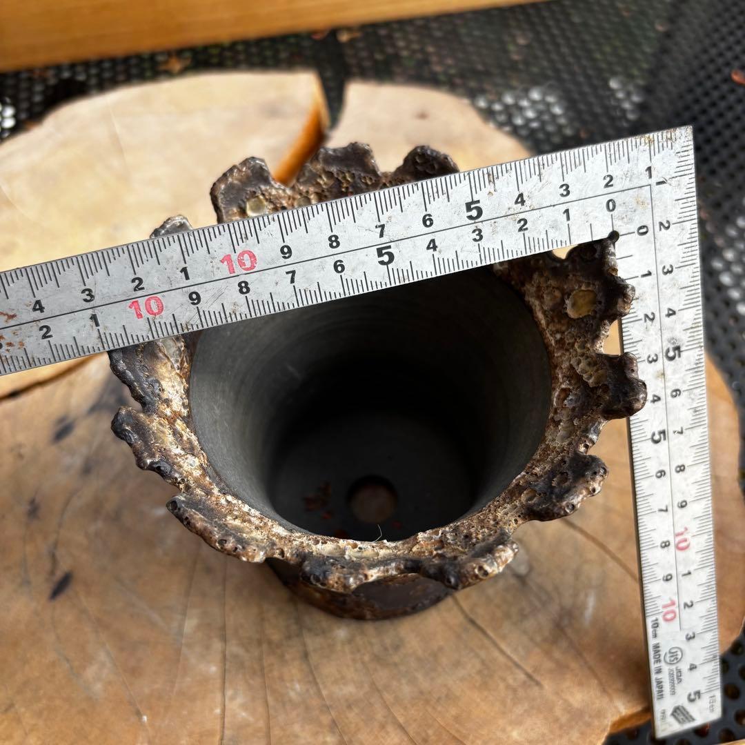 美品 中川智治 作家鉢 植木鉢 発泡 アガベ グラキリス パキプス 塊根