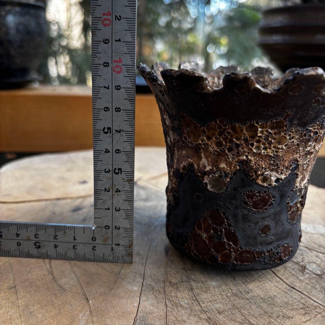 美品 中川智治 作家鉢 植木鉢 発泡 アガベ グラキリス パキプス 塊根