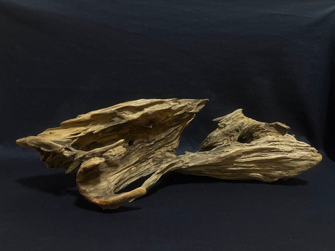 Ｇ88 爬虫類、両生類、シェルター、アクアテラリウム、インテリア、DIY