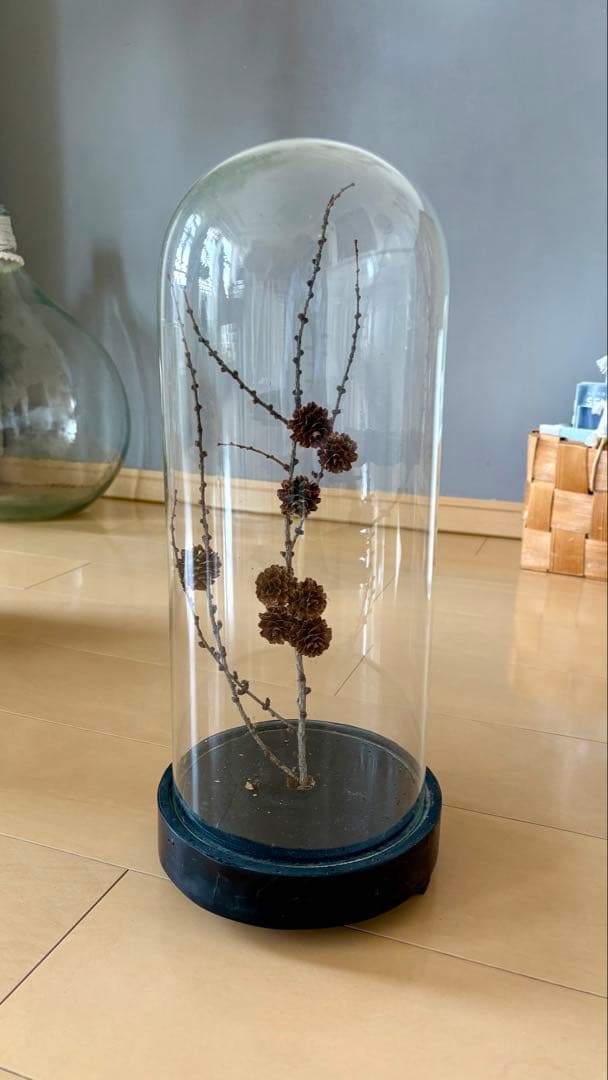 フランスアンティーク　ガラスドーム