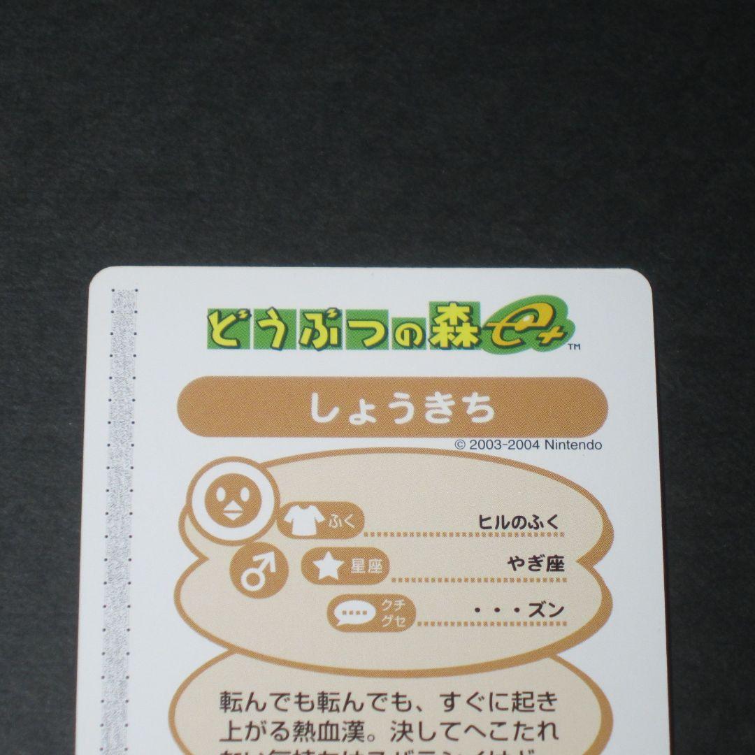 どうぶつの森カードe＋ PRカード しょうきち