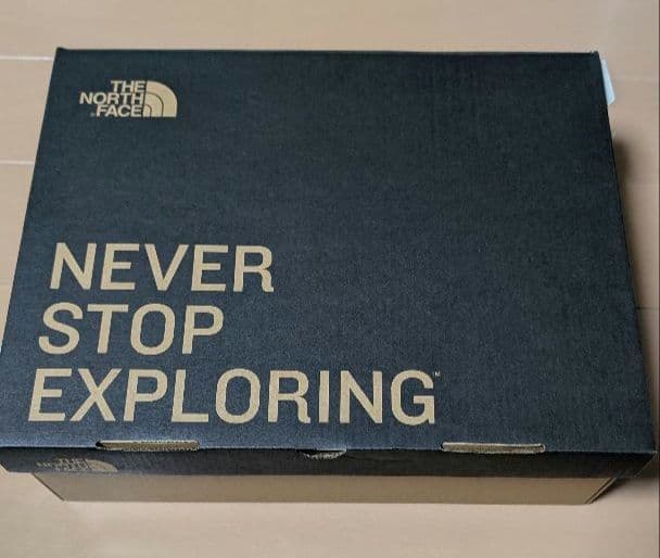 【美品】THE NORTH FACE ヌプシ防寒ブーツNF52084 25cm