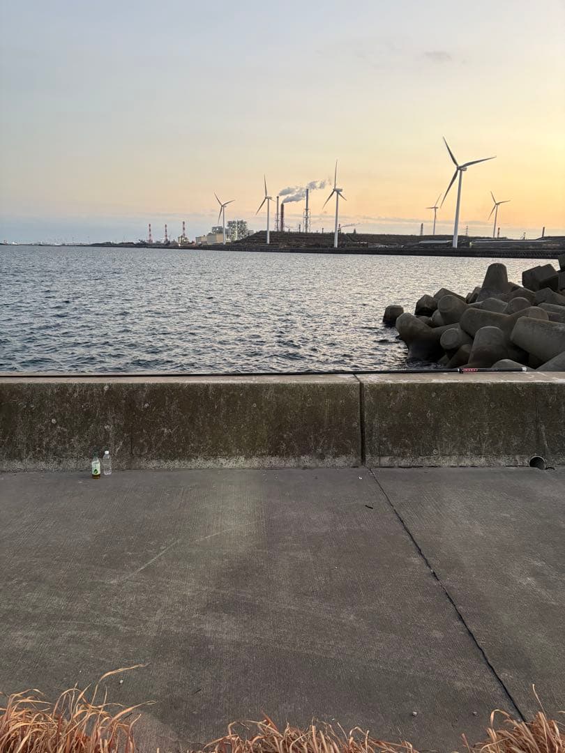 アジングロッド　ティップのみDaiwa25月下美人MX AJING55L-S.J