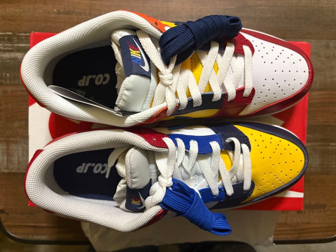 スケートボード Nike Dunk Low Multi-color