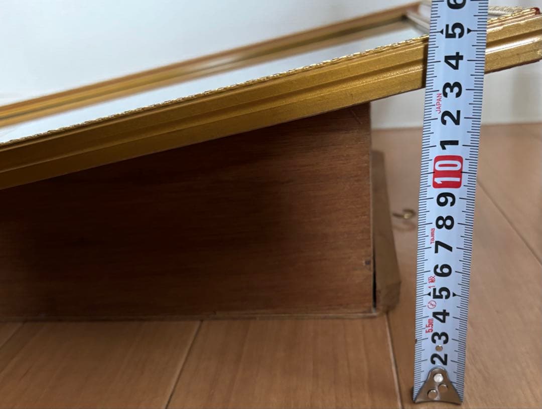 #額装標本 ニシキエビ 錦海老　伊勢海老　えび　剥製