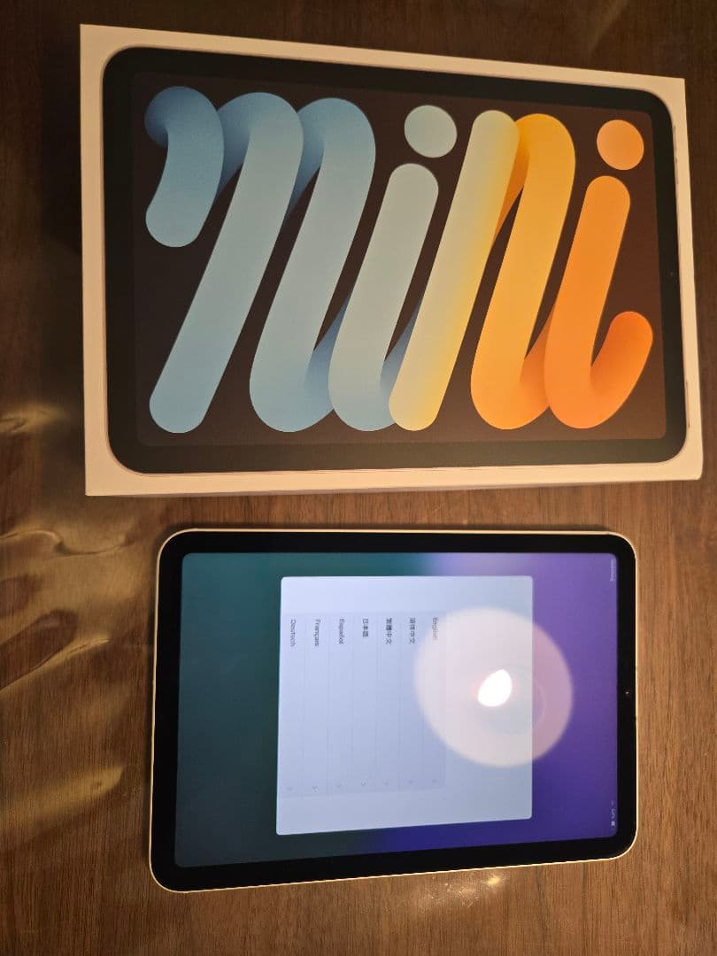 Apple iPad mini 6 256GB セルラー