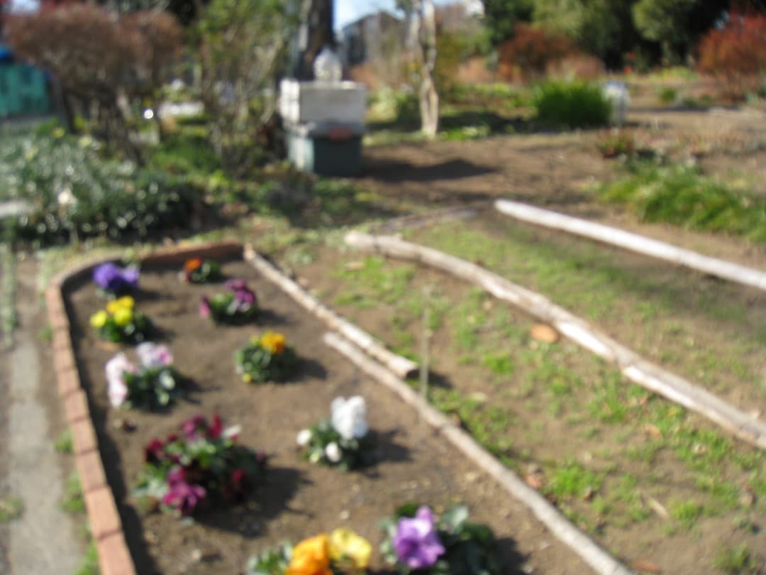 実写⭕️訳あり【動作確認済】Canon IXY DIGITAL 910 IS