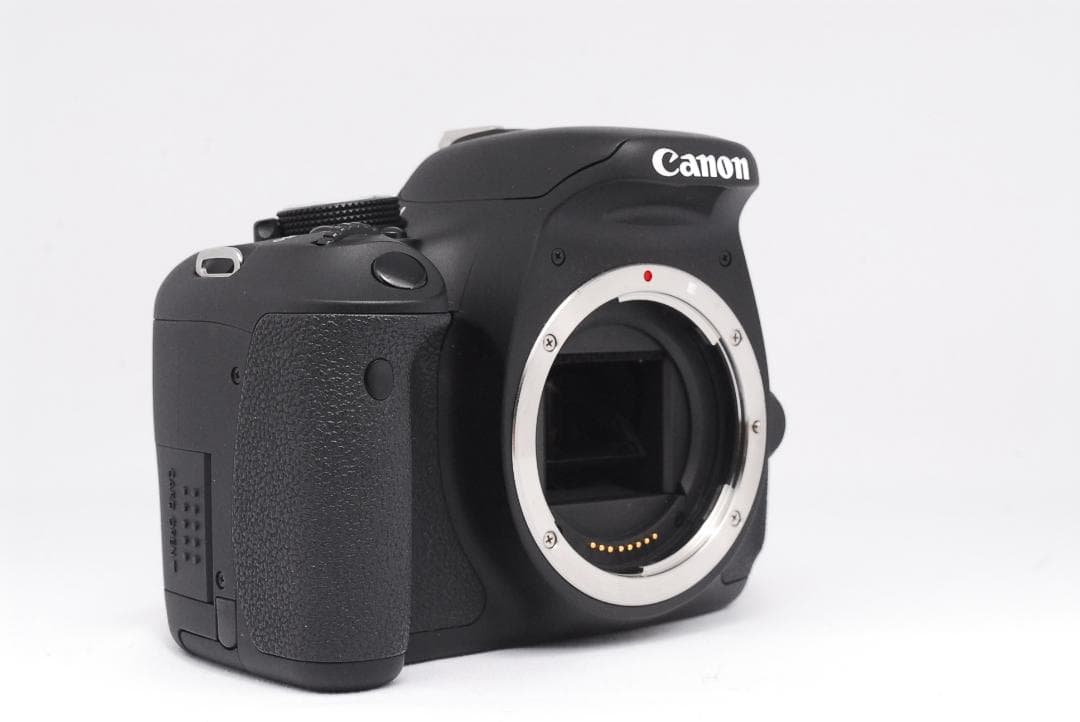 ⭐️初心者オススメ⭐️Canon EOS Kiss X5 一眼レフ
