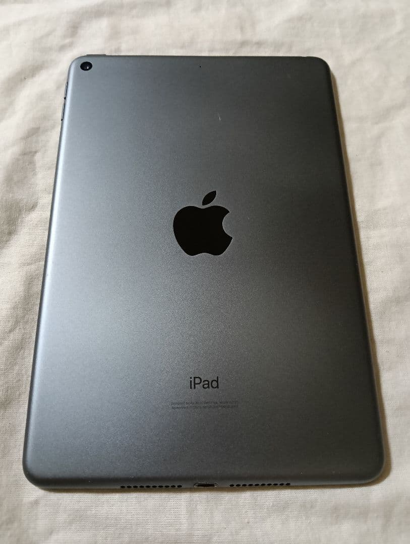 iPad mini 第5世代 バッテリー84%