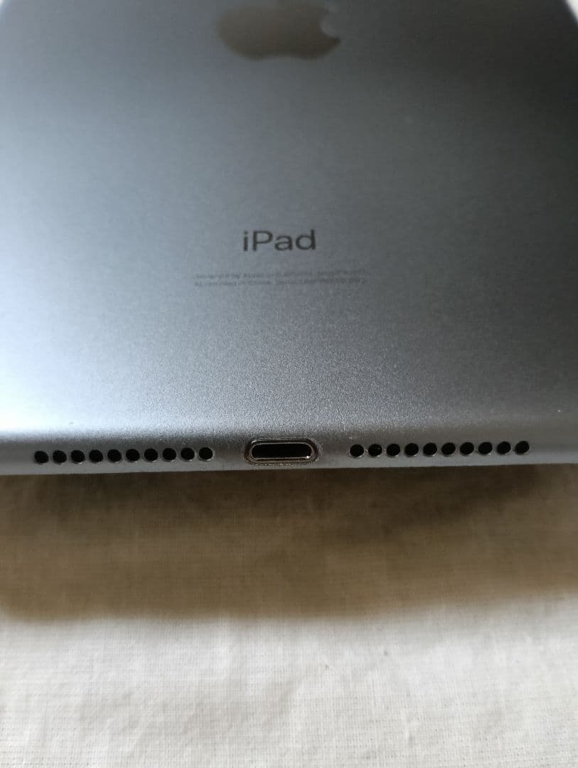 iPad mini 第5世代 バッテリー84%