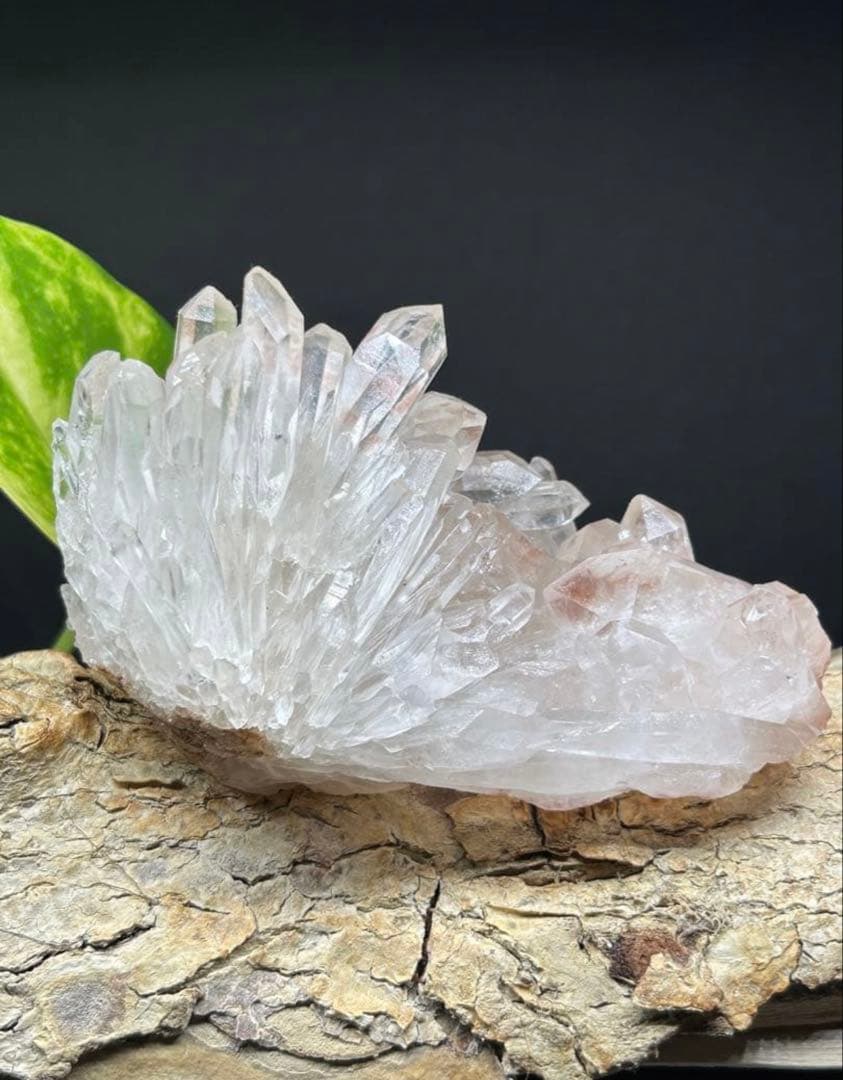 【爆レア☆聖美☆結晶】ピンク系マニカラン産　ヒマラヤ水晶クラスター